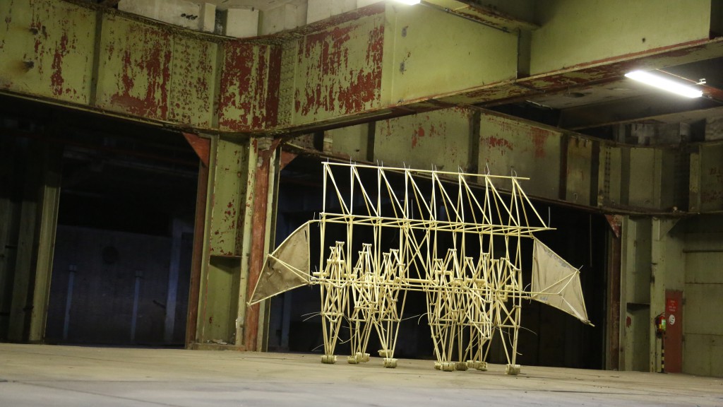 4Y2B1244_2014 01 28 EF eerste beesten_Guus Rijven